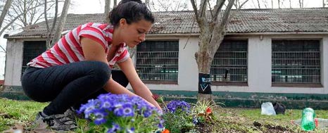 TALLERES PROTEGIDOS DEL BORDA