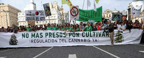 LA MARCHA DE LA MARIHUANA