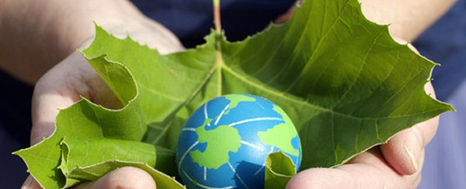 DÍA MUNDIAL DEL MEDIO AMBIENTE