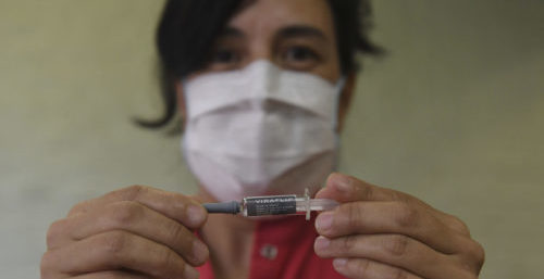 280.000 HABITANTES TUVIERON CORONAVIRUS