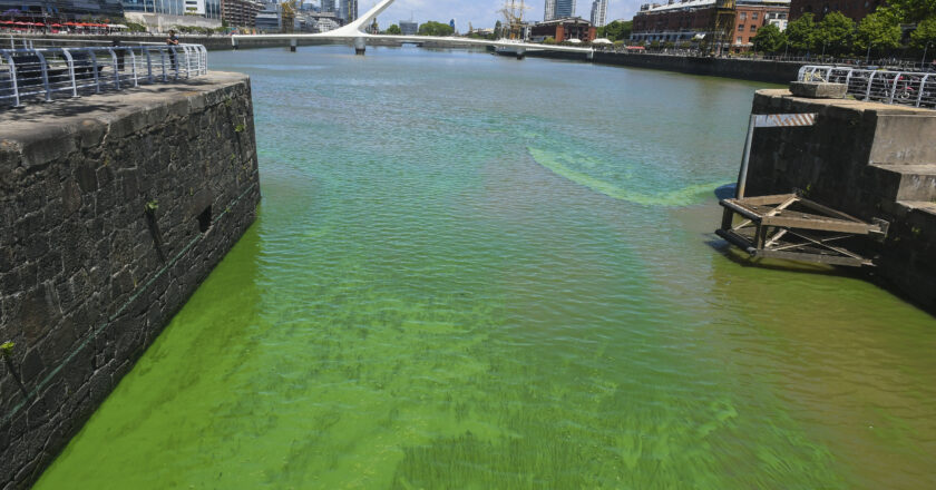 LAS AGUAS BAJAN VERDES POR EL RÍO DE LA PLATA