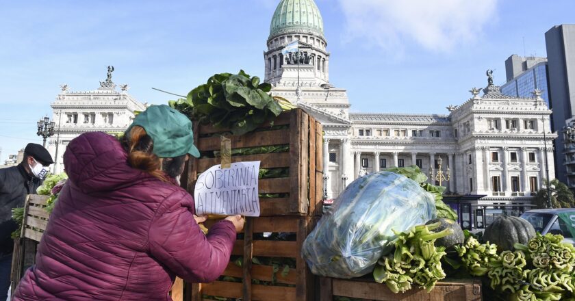 ALIMENTAZO FRENTE AL CONGRESO DE LA NACIÓN