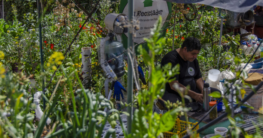 PONEN EN MARCHA UNA HUERTA AGROECOLÓGICA PARA ESTUDIANTES, VECINOS Y VECINAS DE RECOLETA