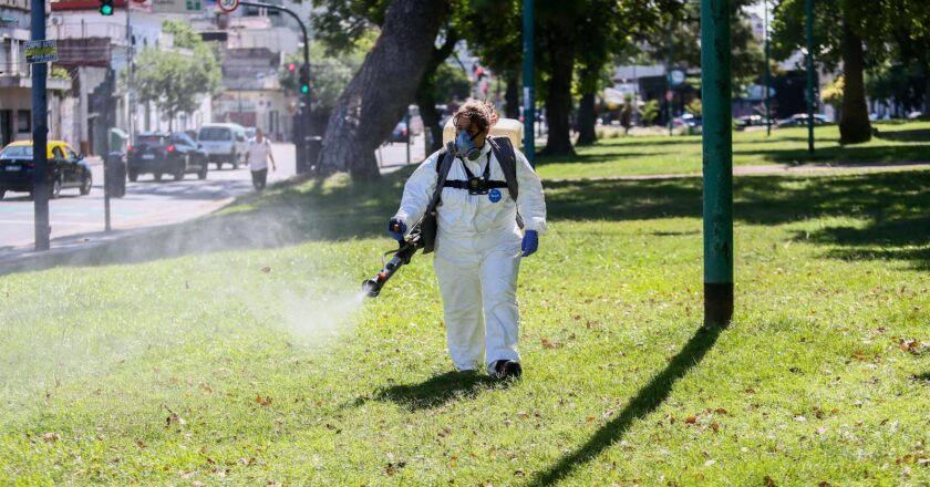 INVASIÓN DE MOSQUITOS EN LA CABA