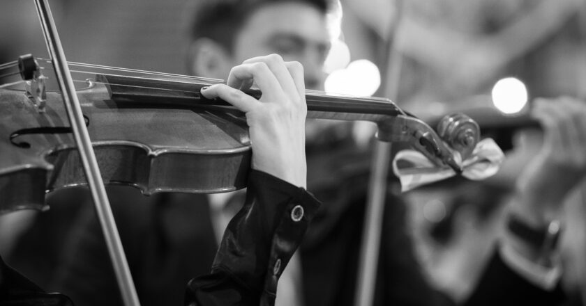 JUNIO DE MUSICA DE CÁMARA