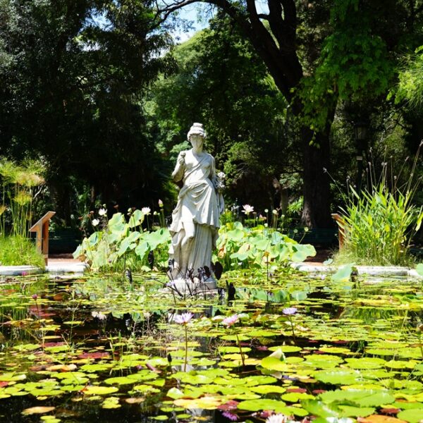127 ANIVERSARIO DEL JARDIN BOTÁNICO