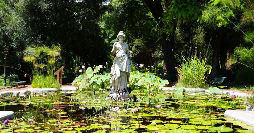 127 ANIVERSARIO DEL JARDIN BOTÁNICO