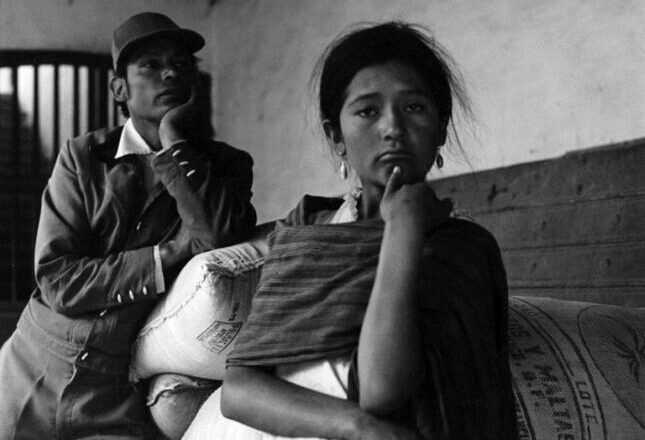 MARIANA YAMPOLSKY EN EL PALACIO NOEL