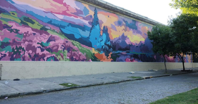 COLORES EN LA CHACARITA