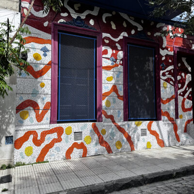 LOS PRIMEROS 25 AÑOS DEL PASAJE LANÍN