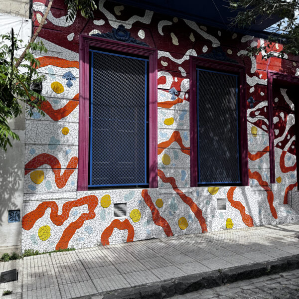 LOS PRIMEROS 25 AÑOS DEL PASAJE LANÍN