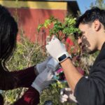 UNA SEMANA PARA MIRAR EL AMBIENTE DESDE LAS AULAS