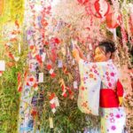 EL FESTIVAL DE LAS ESTRELLAS LLEGA A BUENOS AIRES